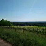 Kaefernberg - Weinhotel Alzenau in Unterfranken
