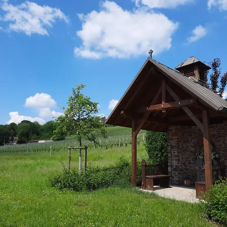 Hotel Kaefernberg - Weinhotel Alzenau in Unterfranken