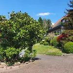 Kaefernberg - Weinhotel Alzenau in Unterfranken
