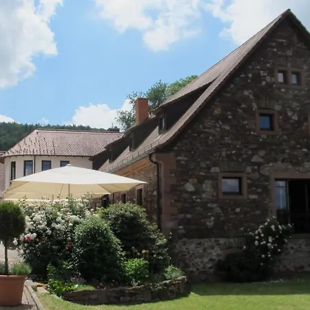 酒店 Kaefernberg - Weinhotel 3*