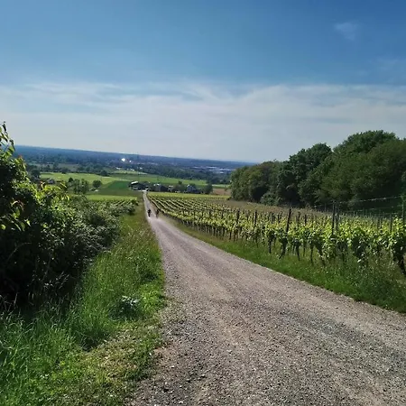 Szálloda Kaefernberg - Weinhotel 3*