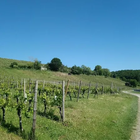 Szálloda Kaefernberg - Weinhotel 3*