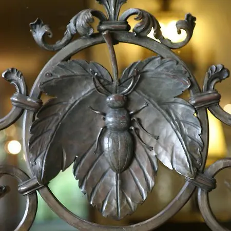 Kaefernberg - Weinhotel Szálloda Alzenau in Unterfranken