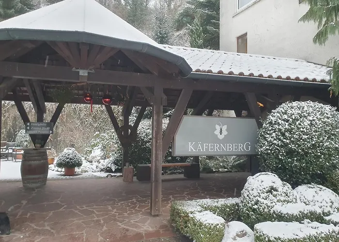 Kaefernberg - Weinhotel Alzenau in Unterfranken