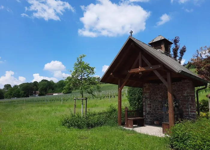 Ξενοδοχείο Kaefernberg - Weinhotel Alzenau in Unterfranken