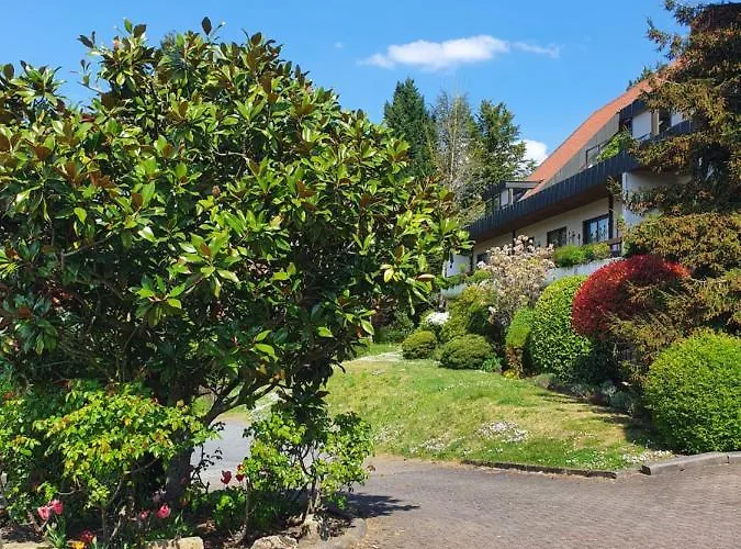 Kaefernberg - Weinhotel Alzenau in Unterfranken